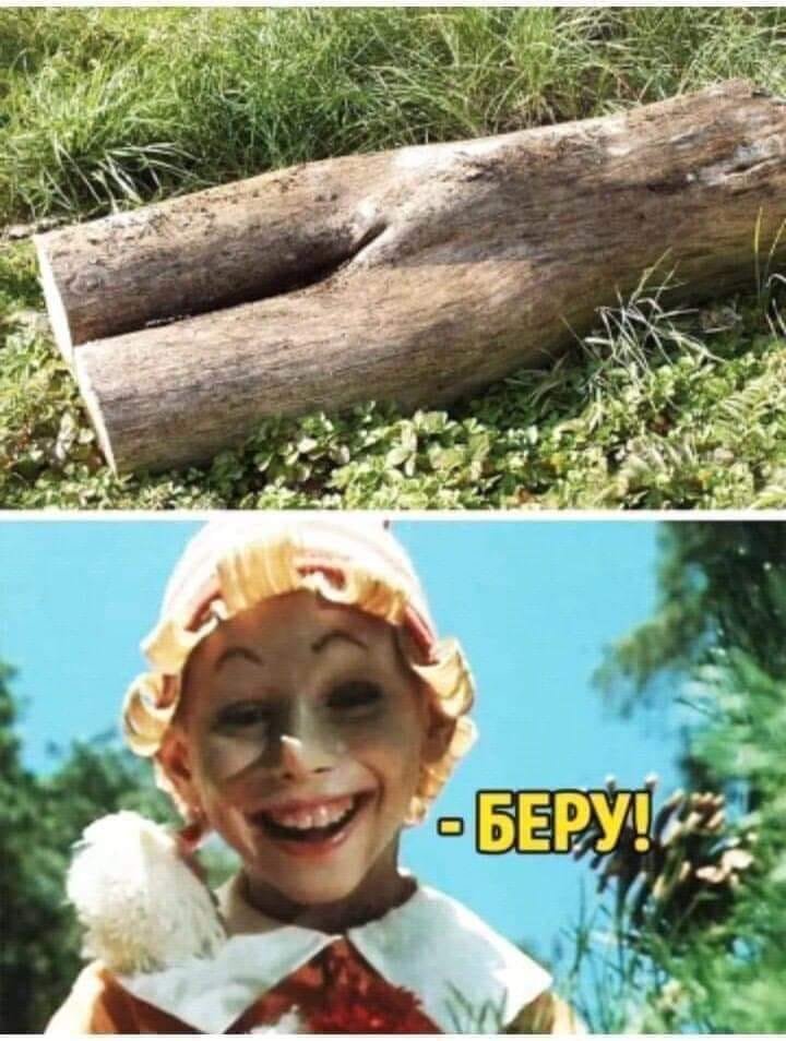 720x954, 113 Kb / Бревно, Буратино