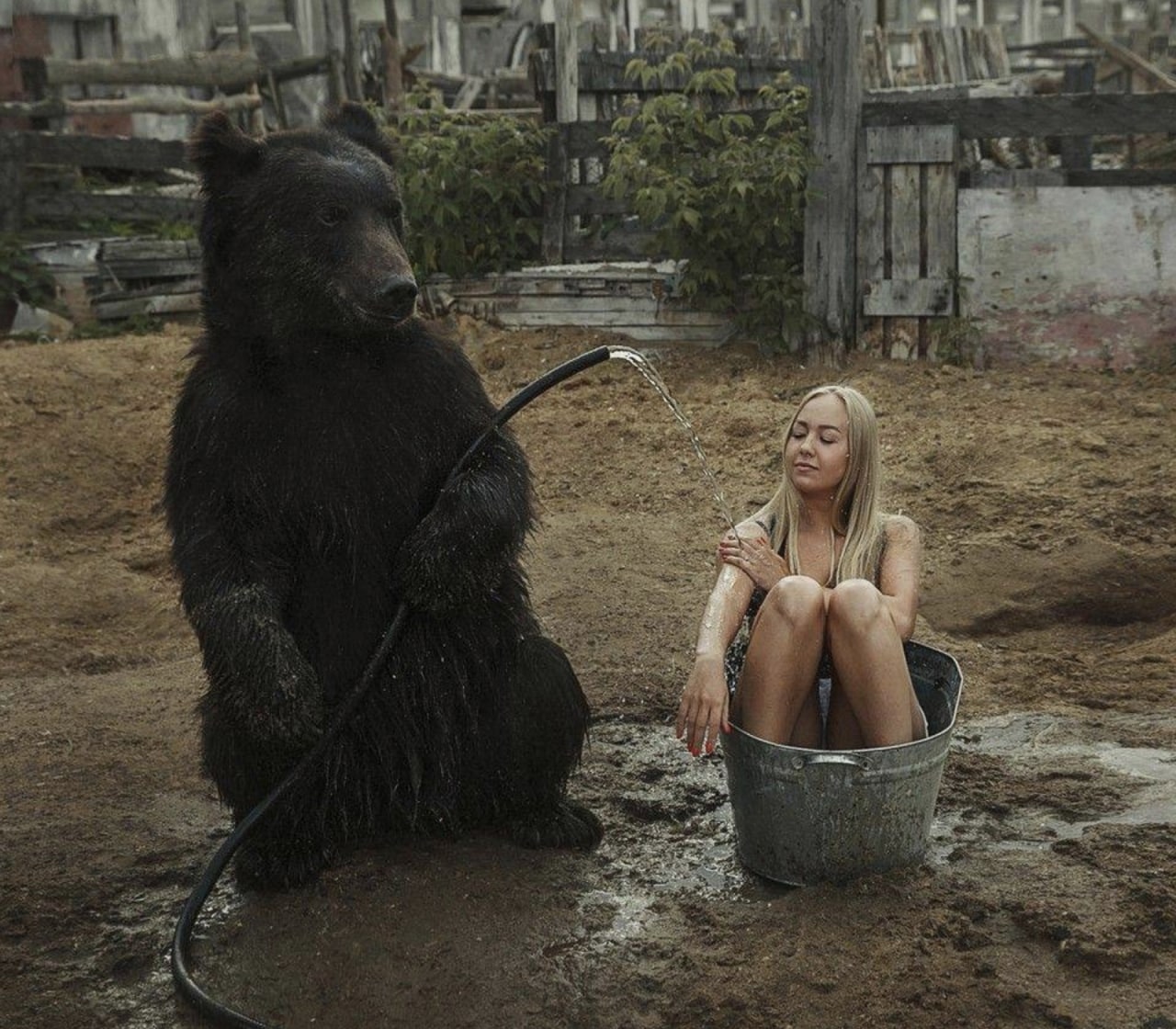 1280x1120, 250 Kb / медведь, маша, шланг, корыто