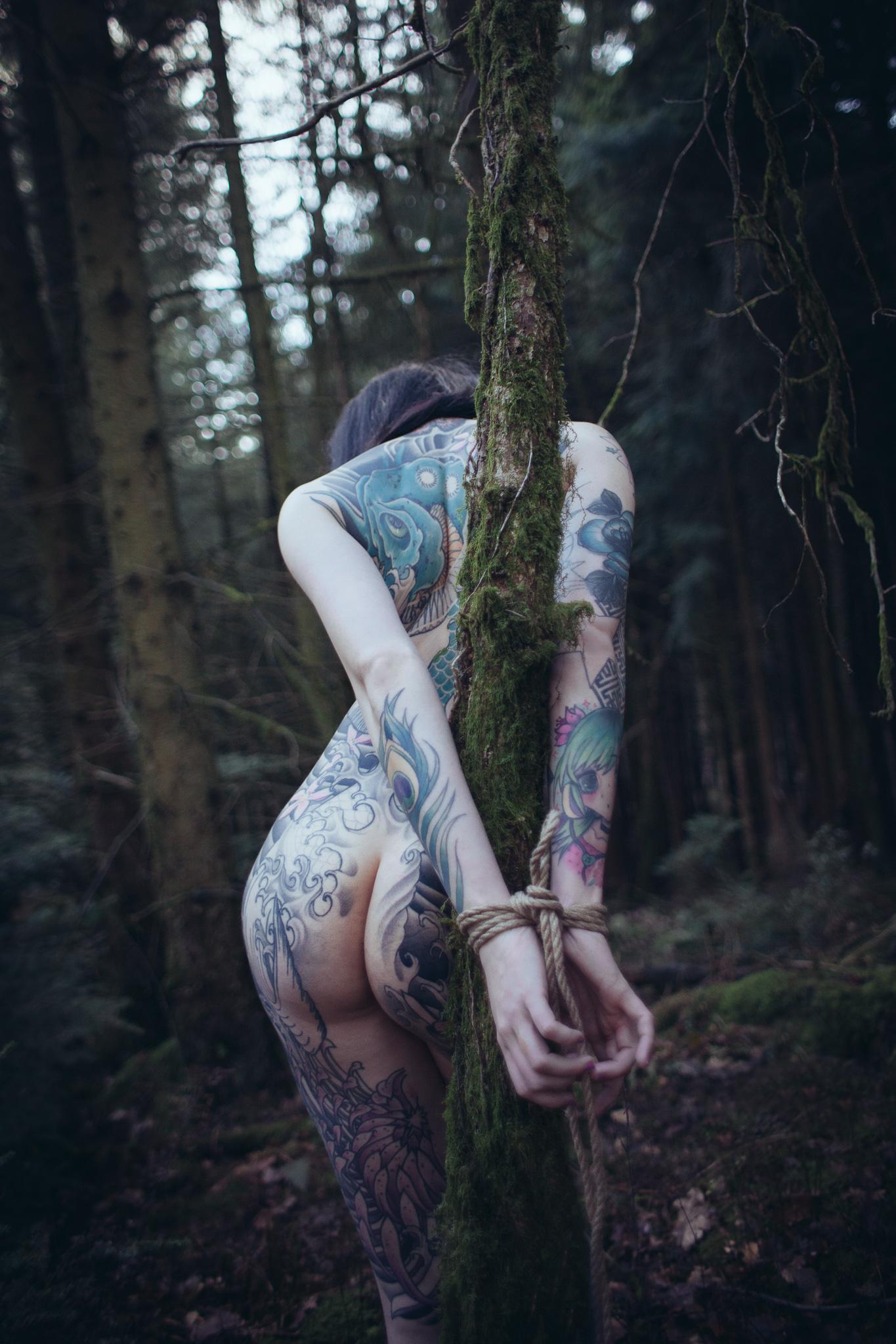 1365x2048, 255 Kb / тату, дерево, лес, веревка