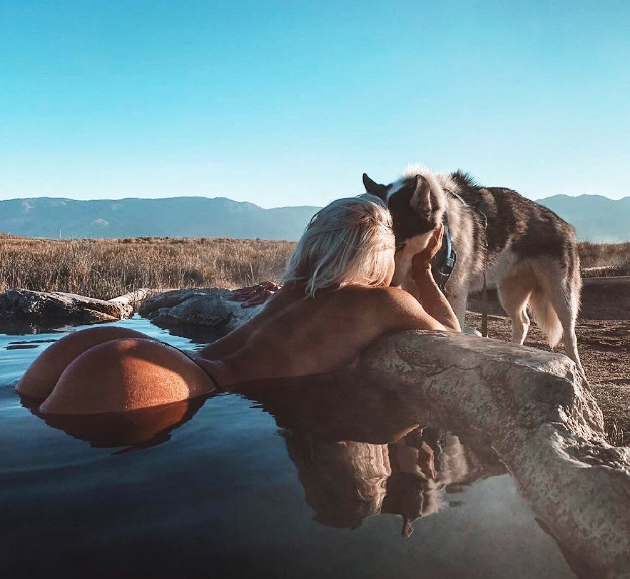 1242x1141, 247 Kb / пёс, жопа, бассейн, собака