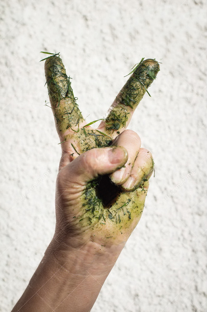 862x1300, 249 Kb / рука, победа, зелень