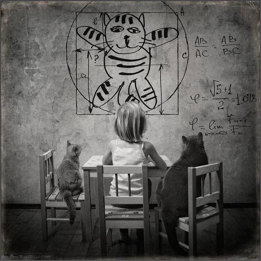 850x850, 143 Kb / девочка, формулы, коты, кошка, ч/б