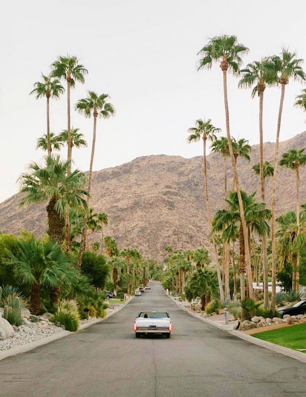 1000x1298, 400 Kb / авто, дорога, пальмы, гора