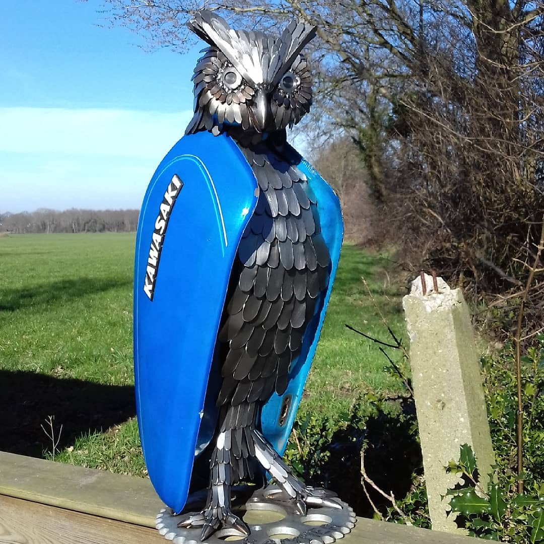 1080x1080, 179 Kb / Сова, бак, кавасаки