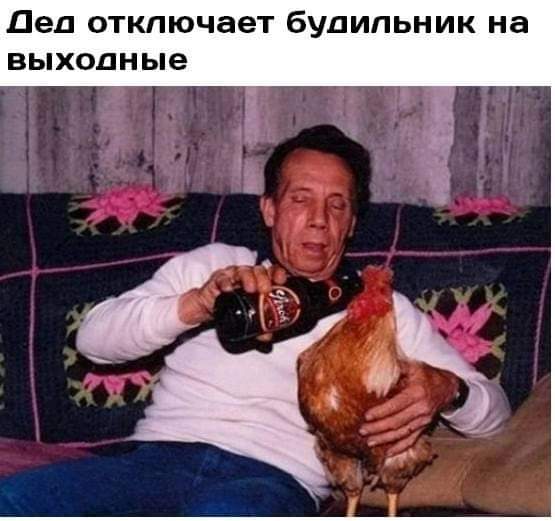 555x521, 36 Kb / Пиво, будильник, бутылка, петух