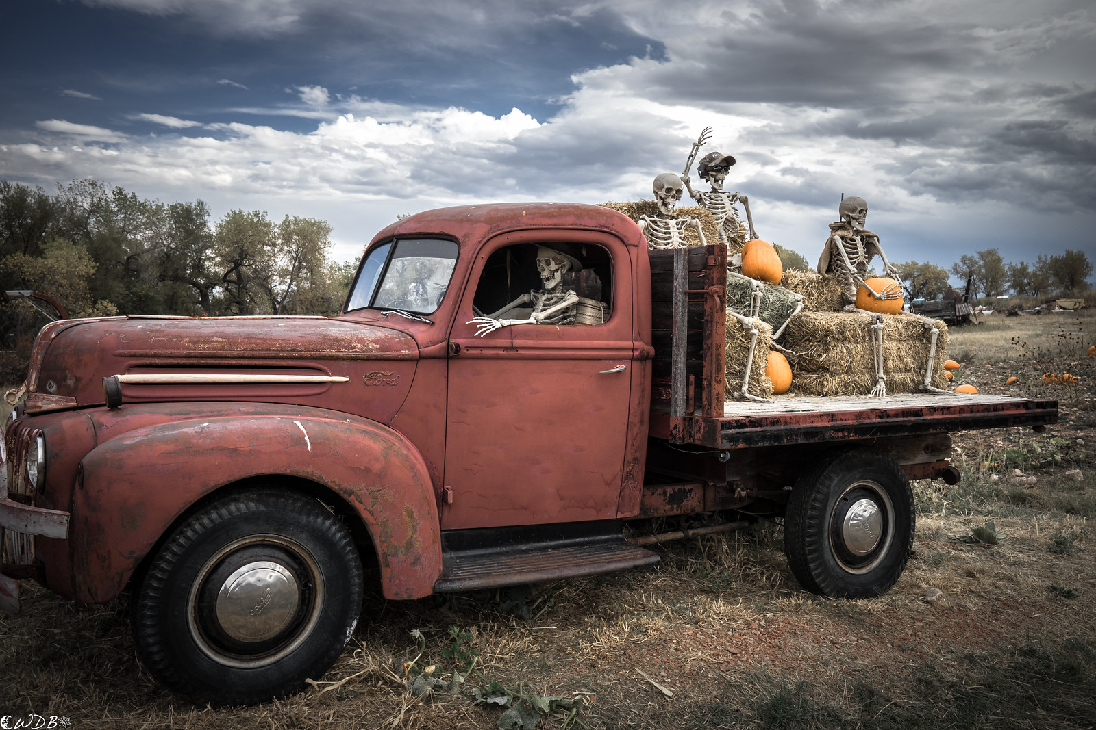 1600x1067, 580 Kb / авто, скелет, тыква