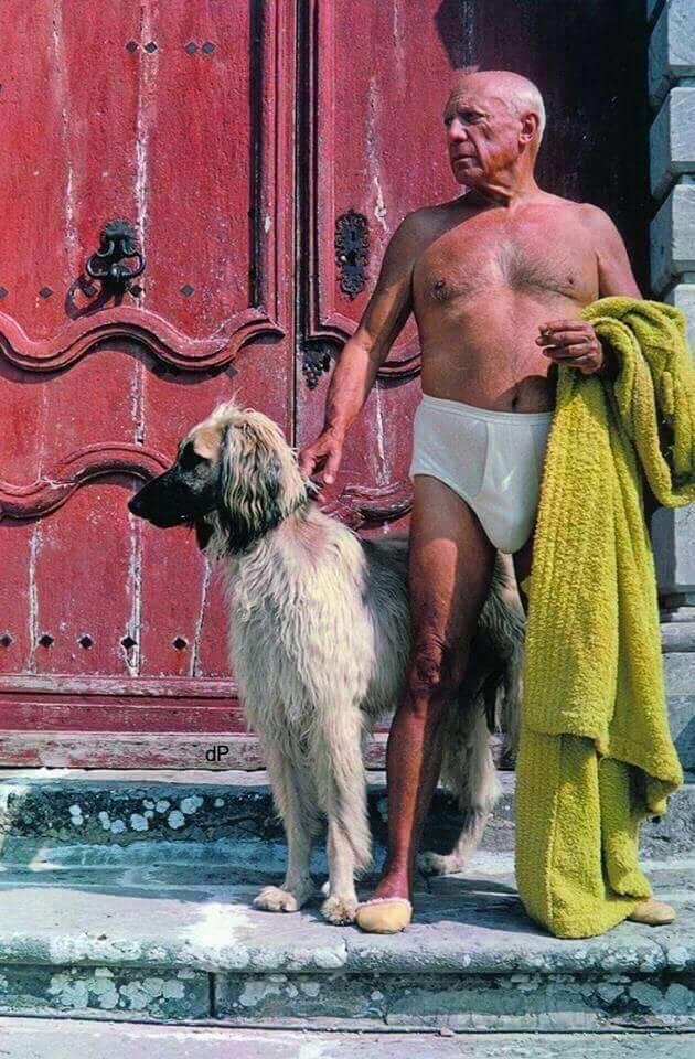 630x960, 128 Kb / Пабло Пикассо, собака, трусы, халат