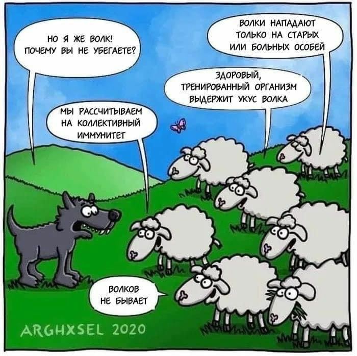 700x697, 97 Kb / Волк, овцы, антипрививочники