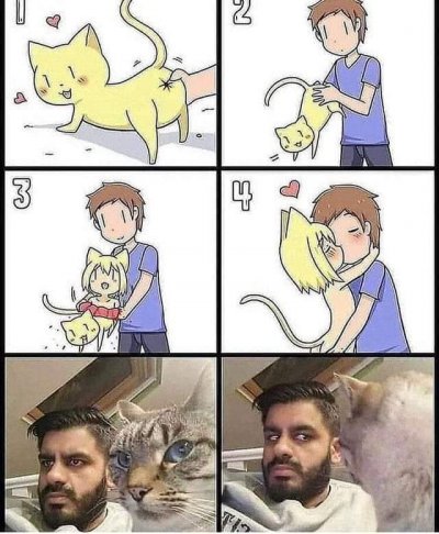 400x486, 48 Kb / Кошка,прикол,чувак,