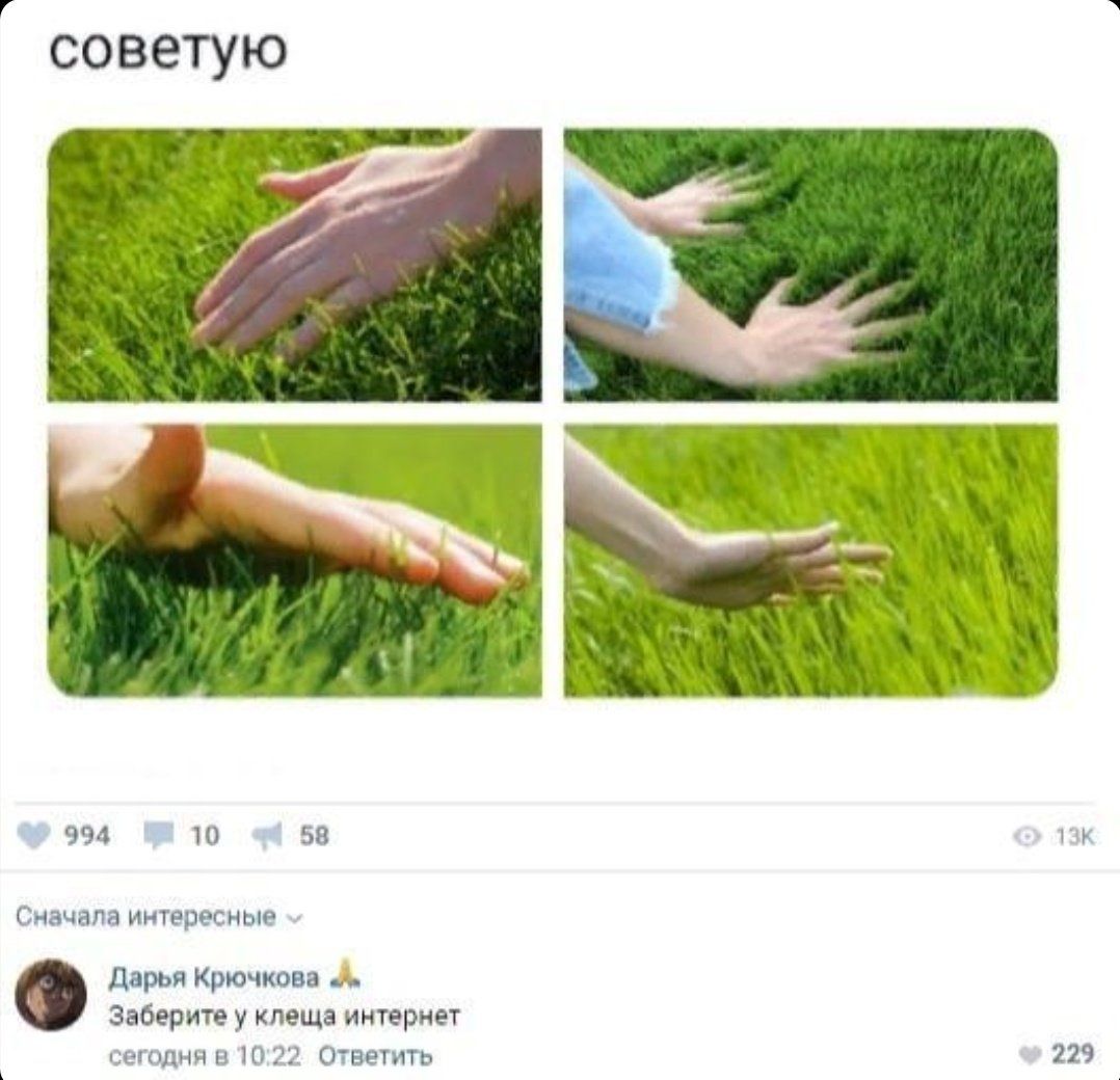 1078x1040, 120 Kb / трава, рука, руки, клещ