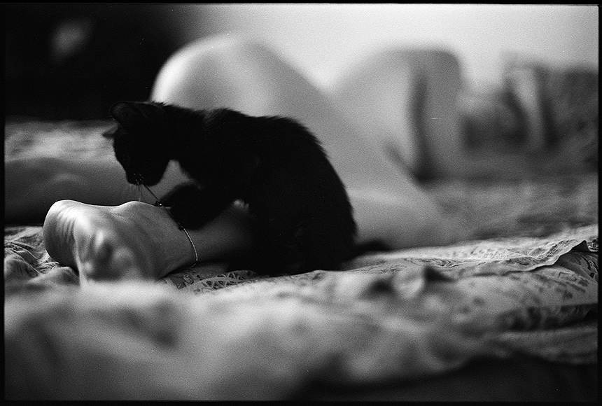 860x580, 196 Kb / нога, кот, браслет