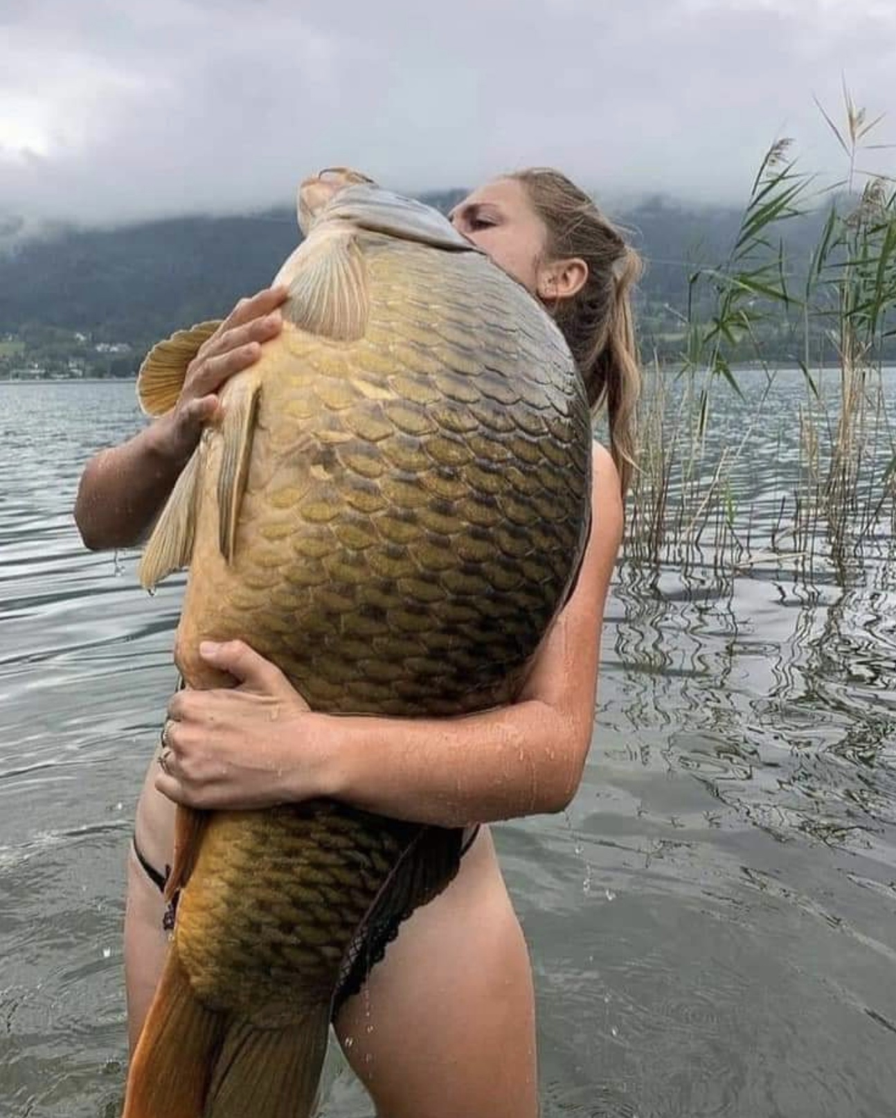 1294x1614, 530 Kb / рыбак, рыбачка, карп, сазан, камыш, вода