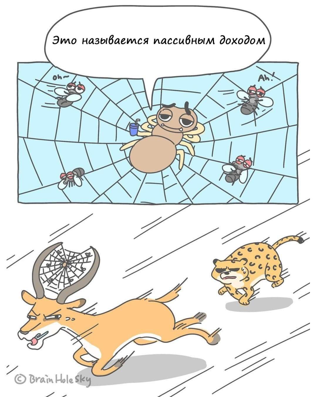 1080x1350, 107 Kb / пассивный доход, паук, паутина, мухи, рога, олень, леопард, гепард