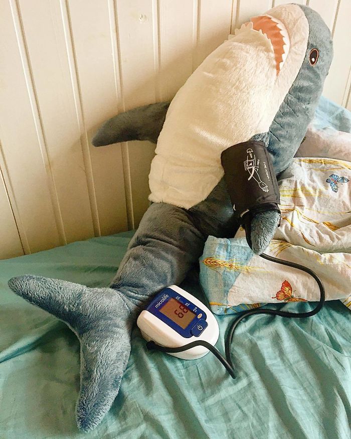 700x875, 121 Kb / акула, давление