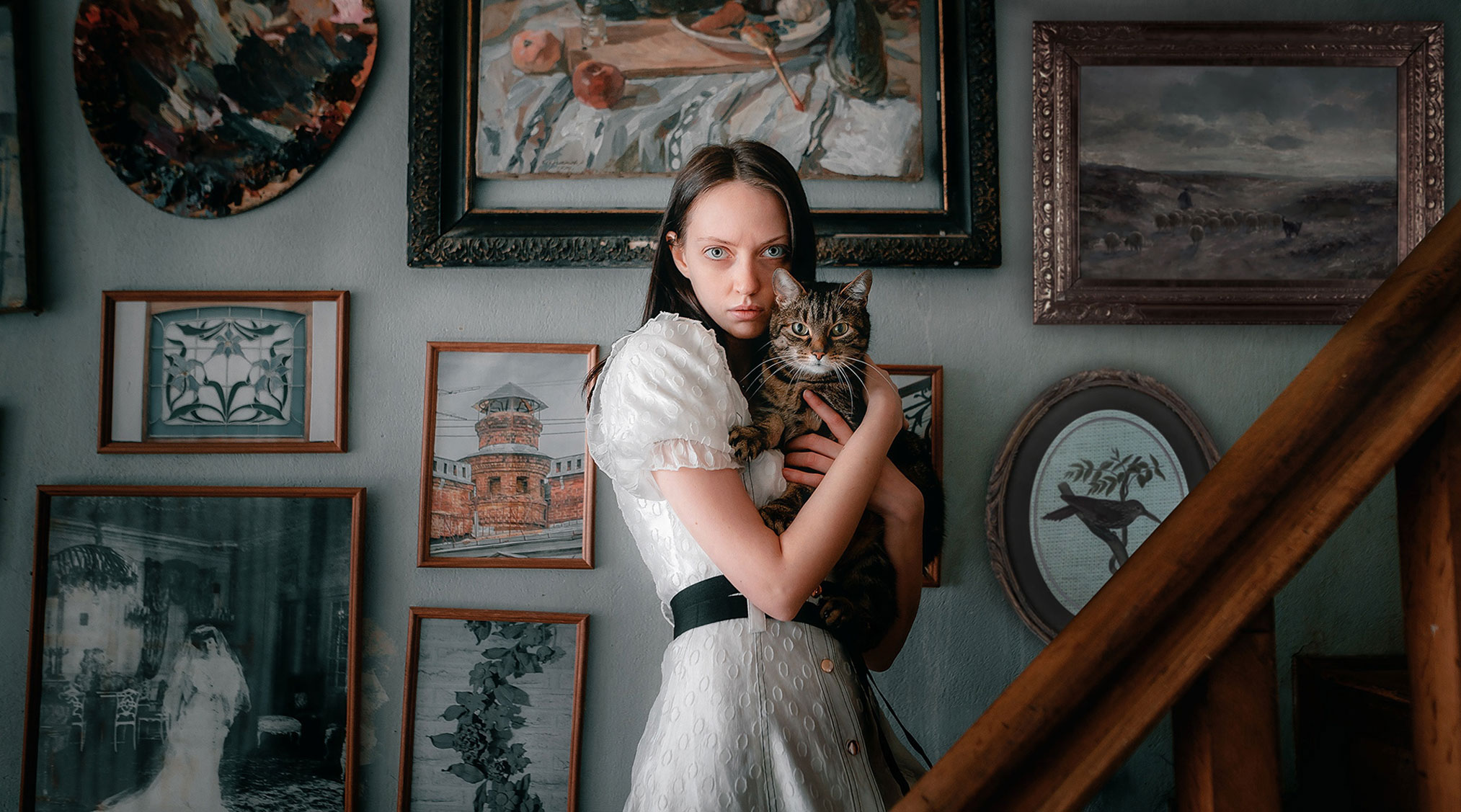 2027x1127, 403 Kb / картина, кот, глаза, Екатерина Можина, Ekaterina Mozhina