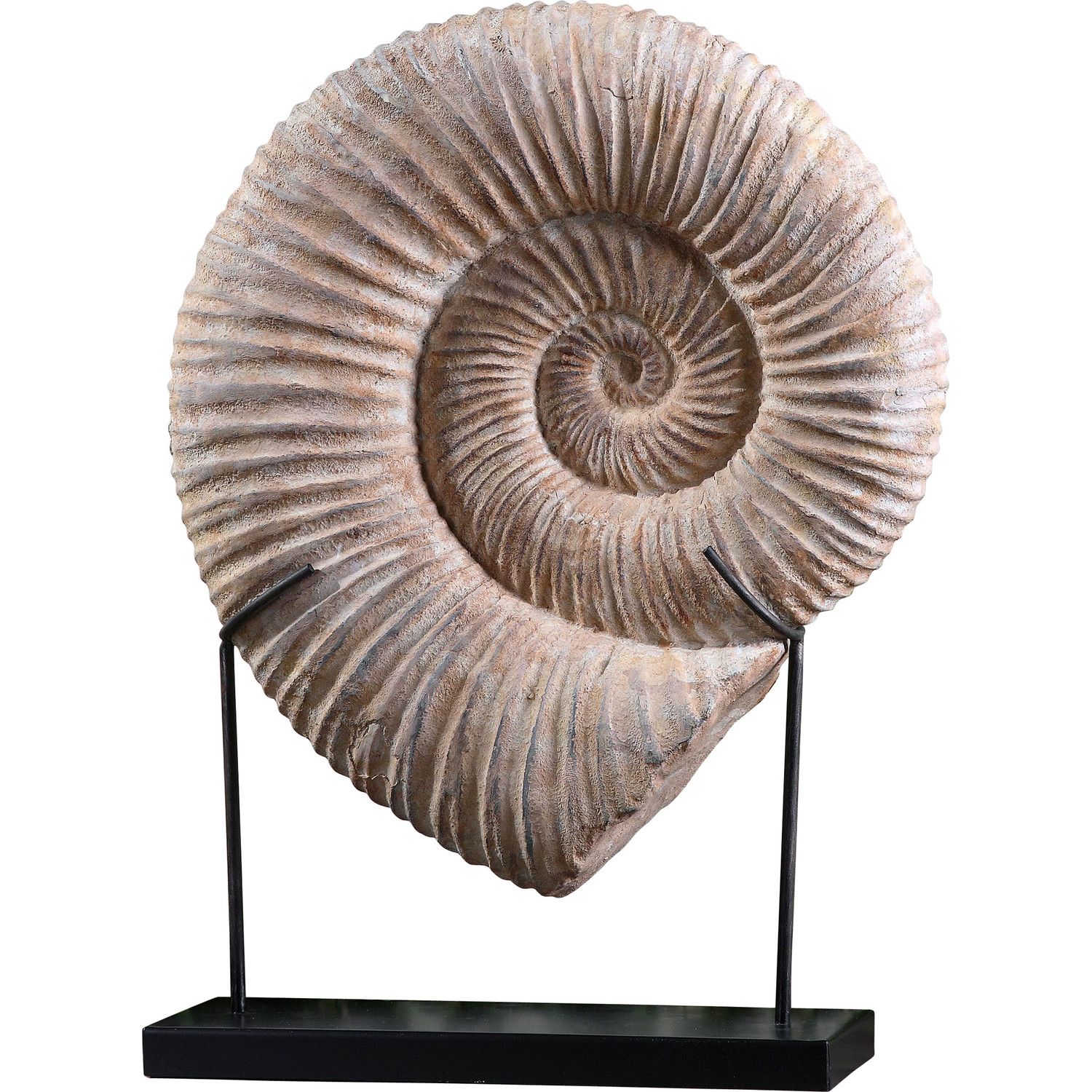 1500x1500, 372 Kb / аммонит, ископаемое