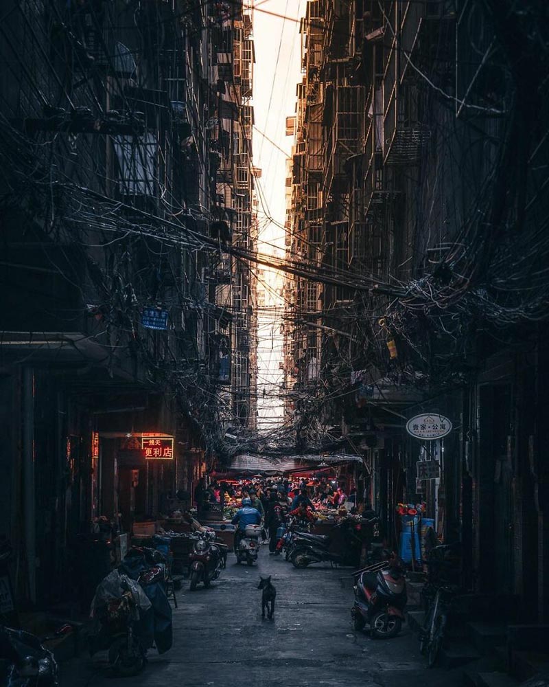 800x1000, 139 Kb / улица, вывеска, провода, собака, мотоцикл