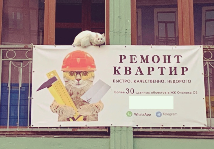 740x517, 115 Kb / ремонт, кот, инструменты, каска