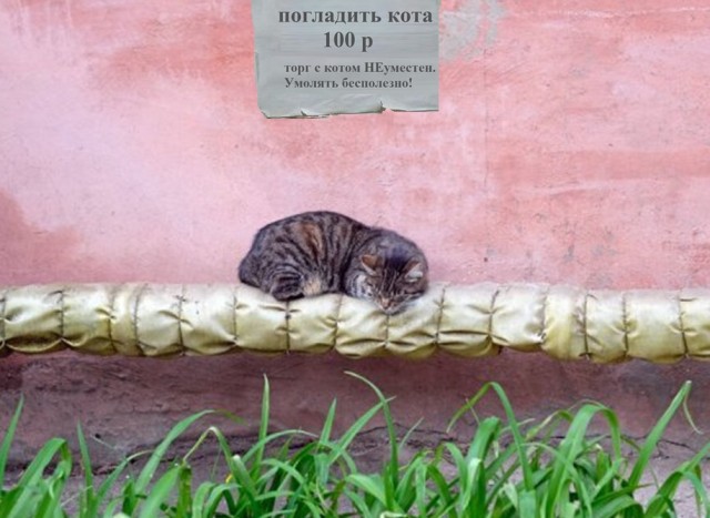 640x467, 71 Kb / кот, труба, торг