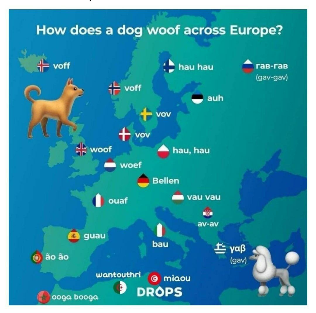 1080x1070, 114 Kb / Собаки, страны, звук, гав