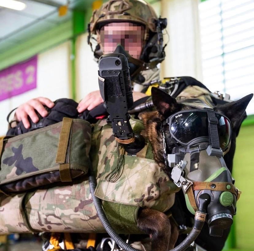 828x820, 179 Kb / Собака, прыжок, Франция, спецназ, камуфляж, солдат, спецназ, к9, собачья работа, очки