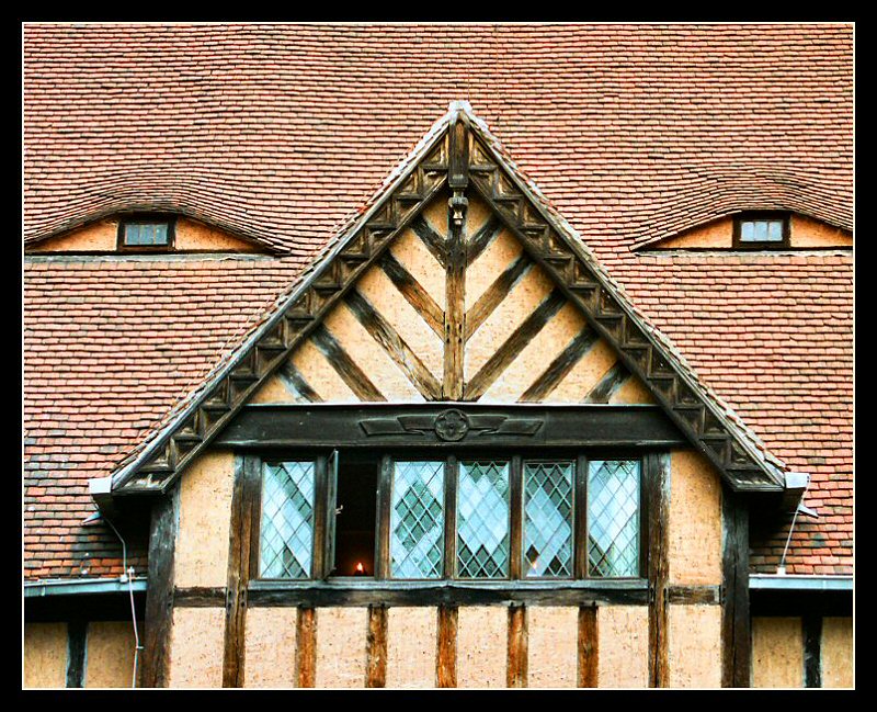 800x649, 193 Kb / крыша, глаза