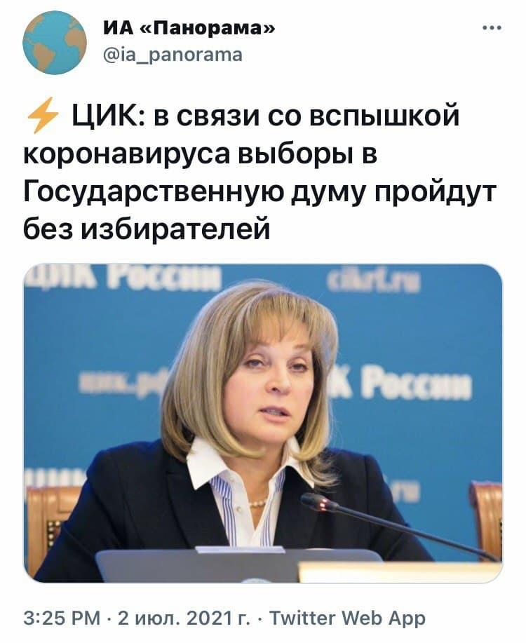 750x917, 66 Kb / Выборы, избиратели, коронавирус, ЦИК, элла памфилова