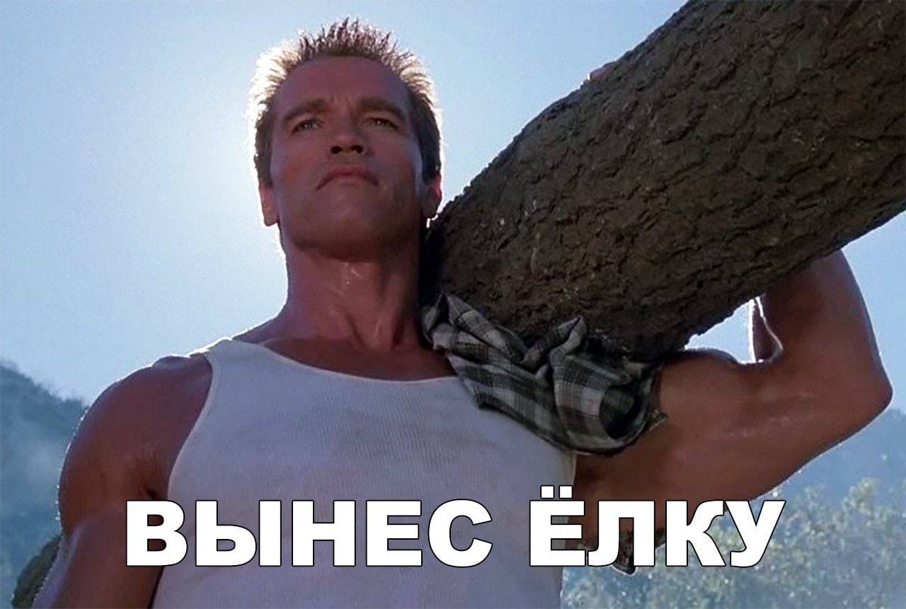 1280x861, 127 Kb / шварценеггер, елка, ствол