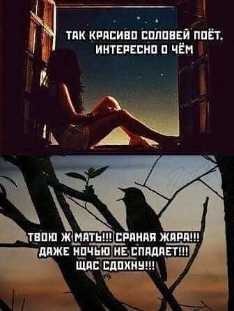 336x446, 20 Kb / Соловей, ночь, жара, ветка