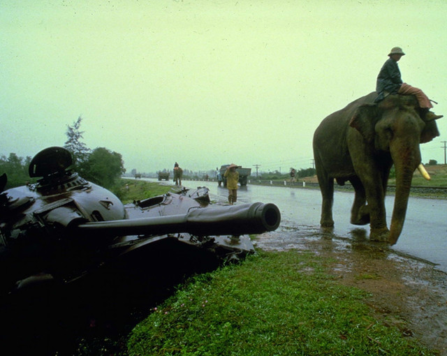 640x510, 91 Kb / танк, слон