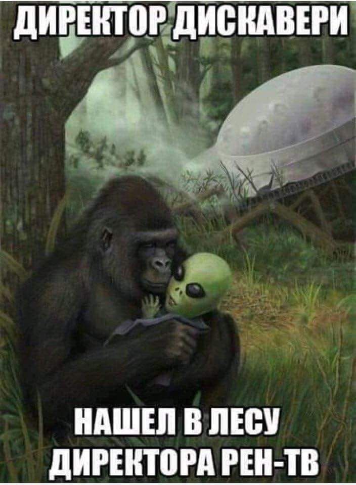704x960, 79 Kb / дискавери, рентв, горилла, инопланетянин