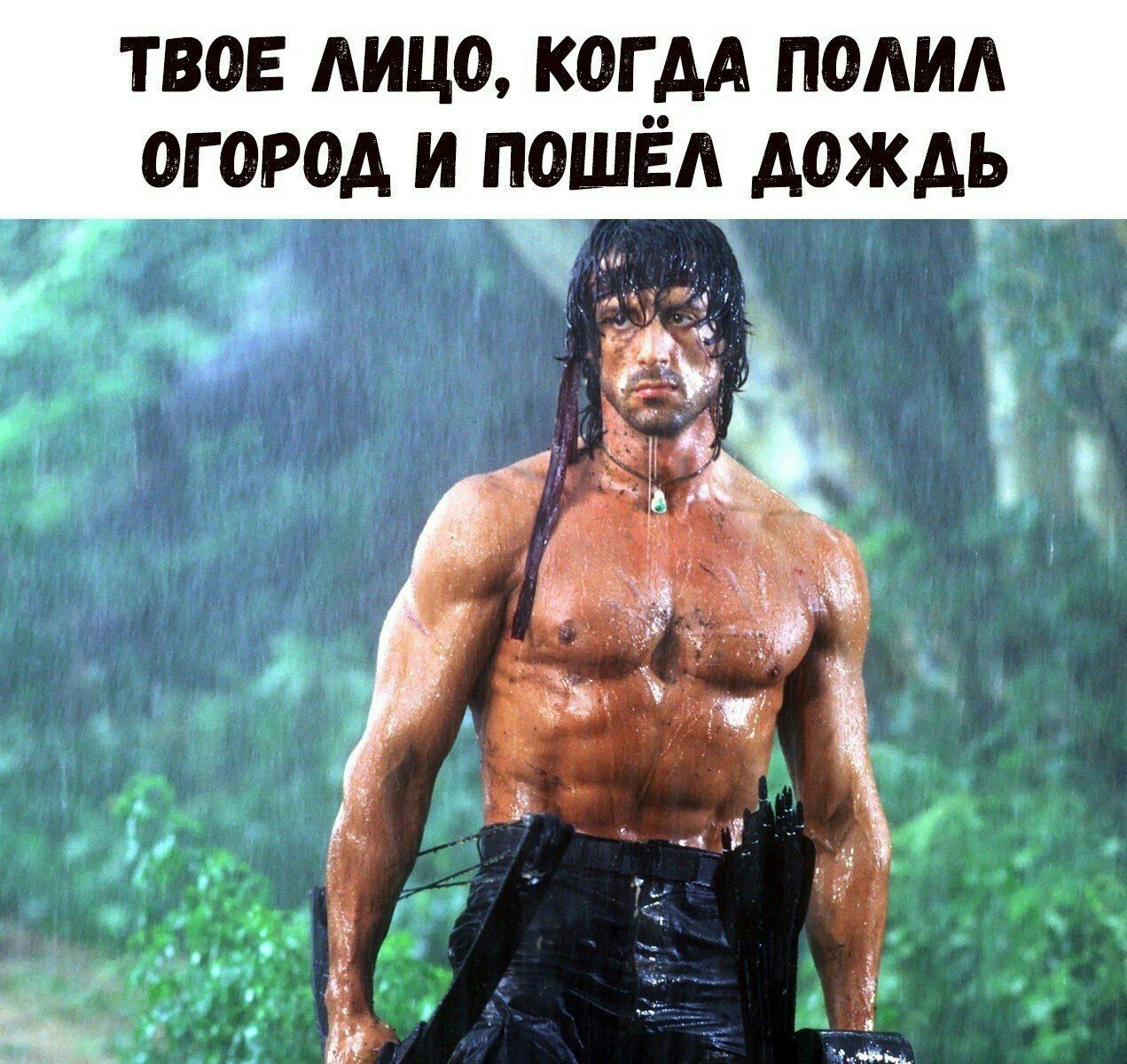 1271x1200, 297 Kb / лицо, дождь, огород, рембо, сталлоне