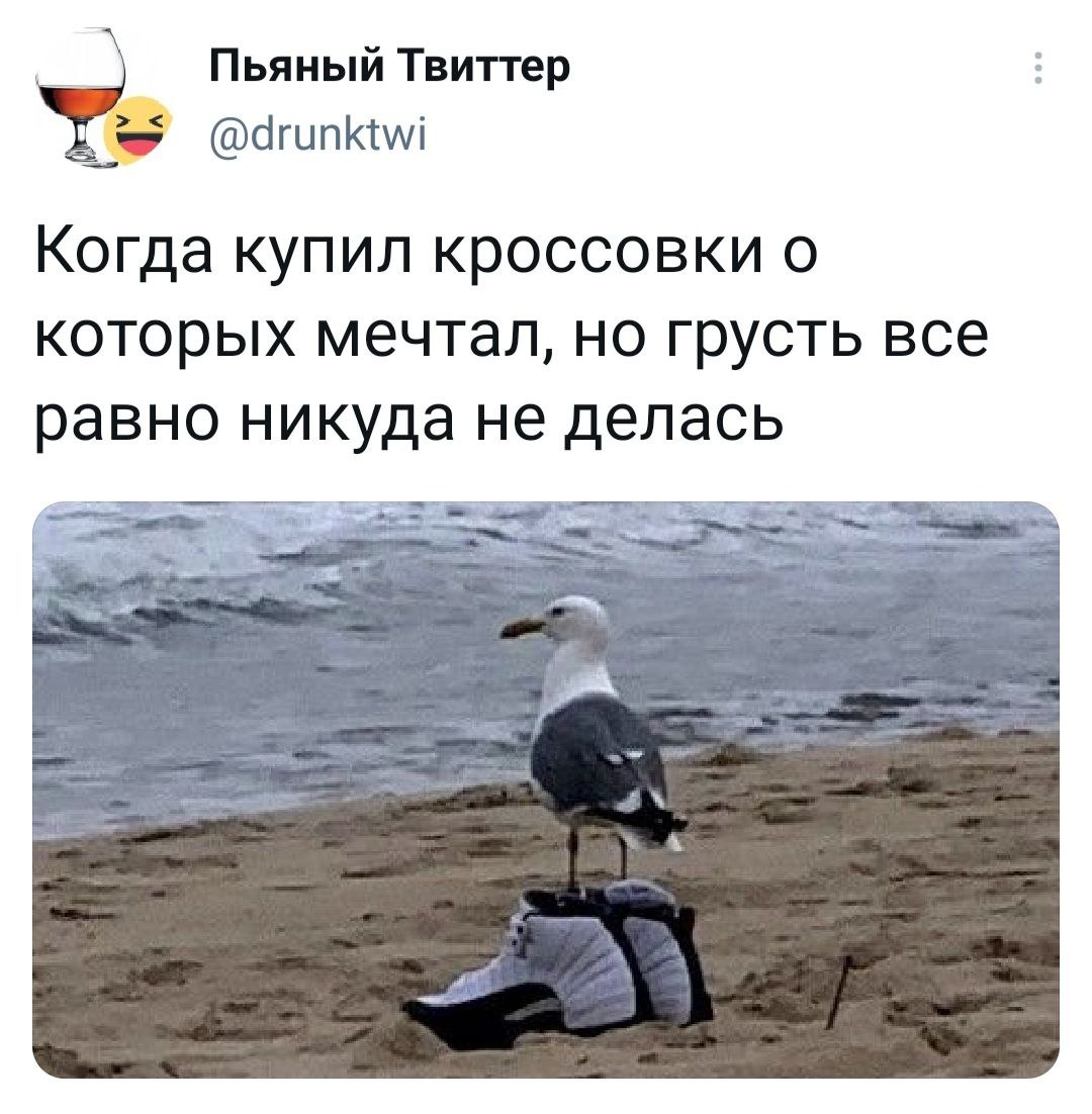 1080x1102, 165 Kb / кроссовки, чайка