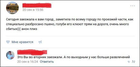 554x266, 25 Kb / пшено, голуби, вторник, развлечения