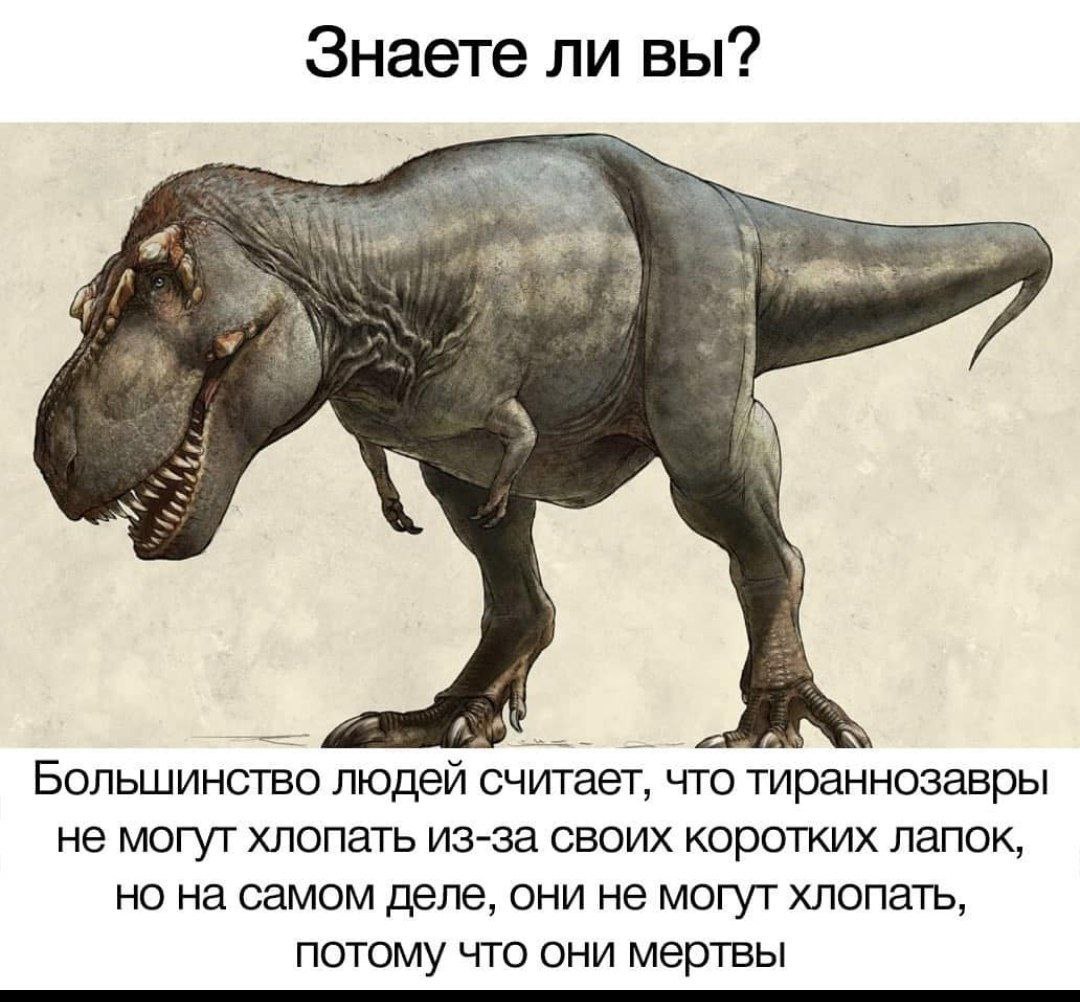 1080x1002, 182 Kb / динозавр, хлопки