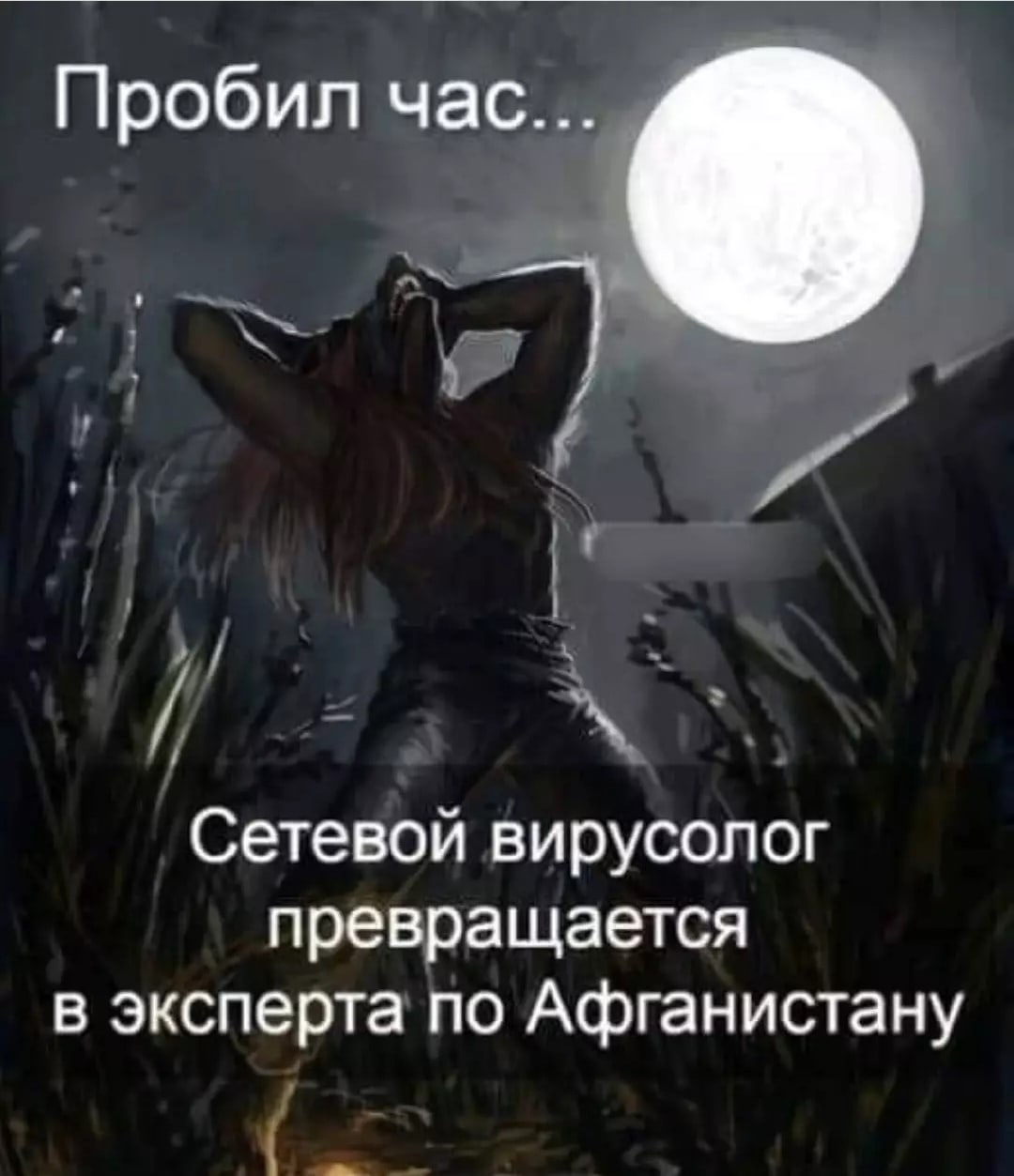 1080x1253, 193 Kb / Эксперт, вирусологи, Афганистан, луна, оборотень