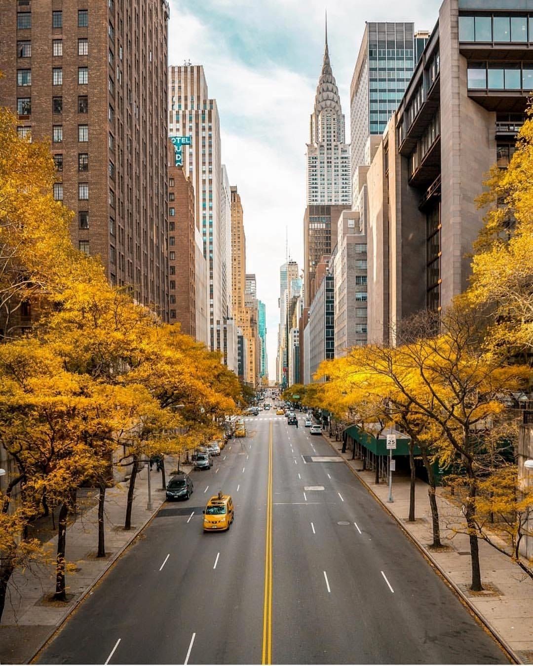 1080x1349, 283 Kb / Нью-Йорк, улица, автомобили, дорога, здания, дома, окна, деревья, высотки, небо, день, осень