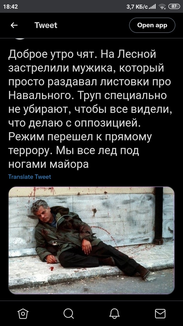 607x1080, 223 Kb / Навальный, листовки, оппозиция, Микеле Плачидо, куртка, кровь, стена, Комиссар Каттани, спрут, Италия