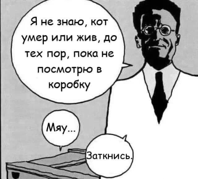 640x579, 49 Kb / шредингер, кот, мяу, заткнись