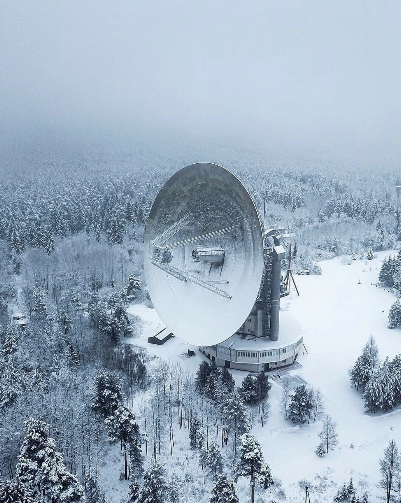 1302x1632, 562 Kb / снег, радар, антенна, радиотелескоп, лес, дерево, обсерватория, Калязин, космос
