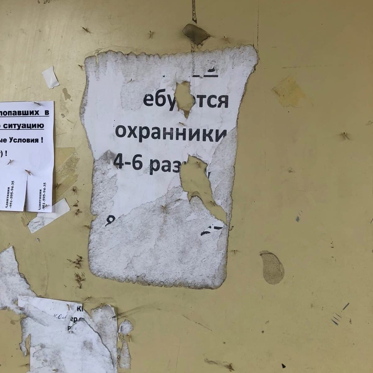 1200x1200, 217 Kb / объявление, требуются, охранники, стена