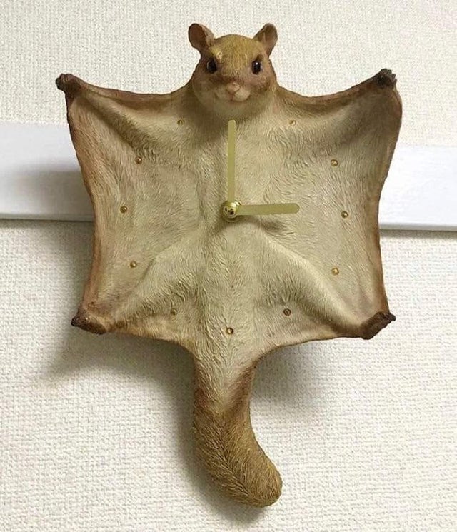 640x745, 104 Kb / часы, белка-летяга, стрелки