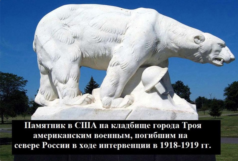 807x547, 173 Kb / памятник, медведь, кладбище, США, интервенции, белые, гражданская война