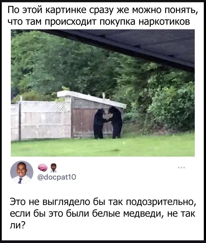 700x824, 176 Kb / медведь, черный, blm