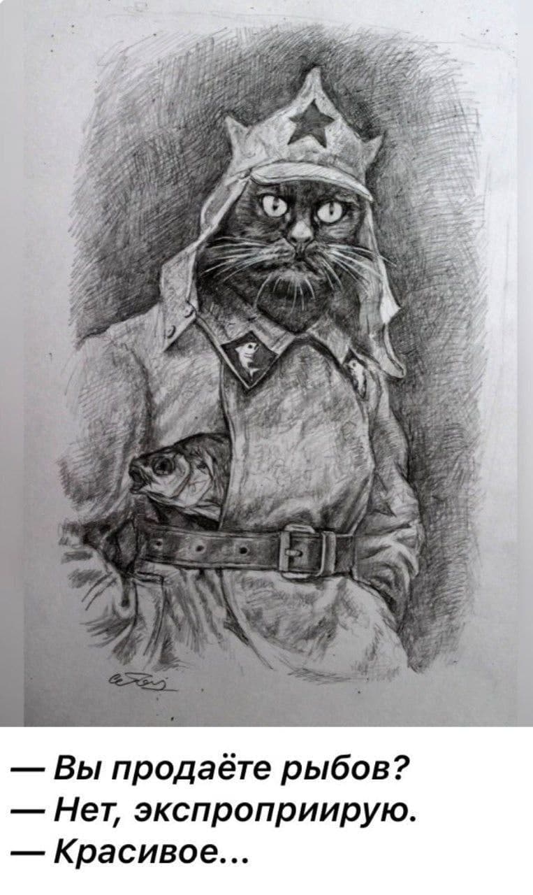 763x1280, 102 Kb / мем, кот, рыбов, красивое