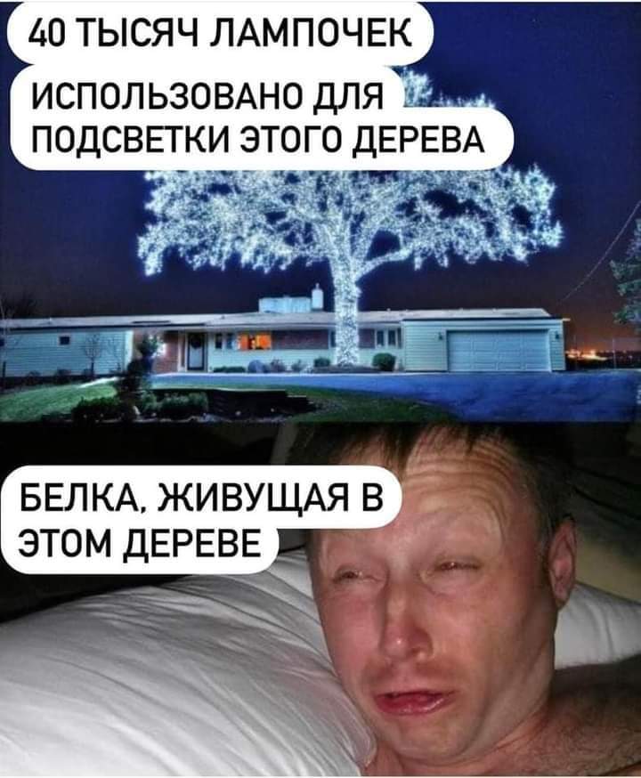 720x874, 64 Kb / Дерево, лампочки, белка, прищур