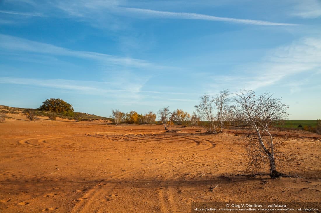 1100x733, 99 Kb / окрестности, песок, холмы, деревья