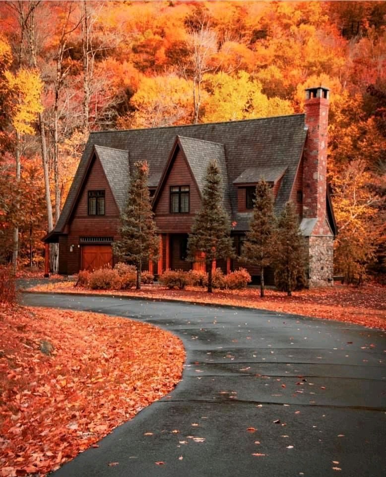 778x960, 182 Kb / дом, осень, листья, лес, дорога, труба