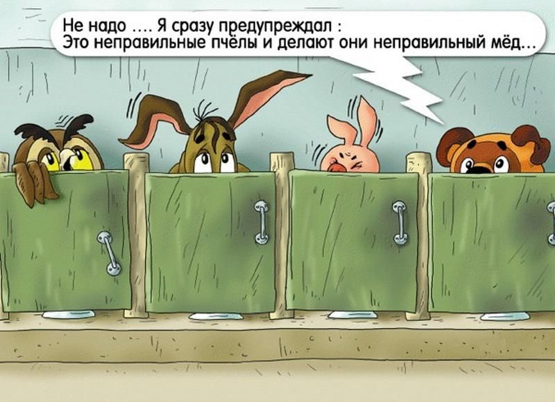 800x580, 67 Kb / Туалет, мед, понос, винни-пух