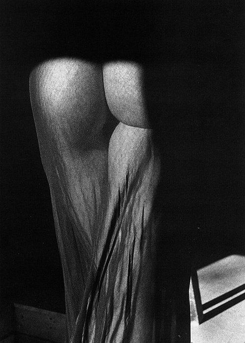 499x699, 62 Kb / попа, прозрачное, ч/б, свет, тень